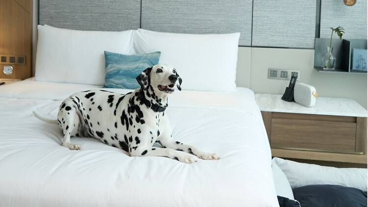 Kimpton Maa-Lai Bangkok