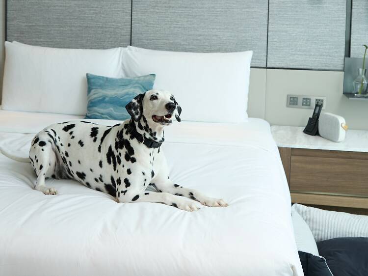 Kimpton Maa-Lai Bangkok