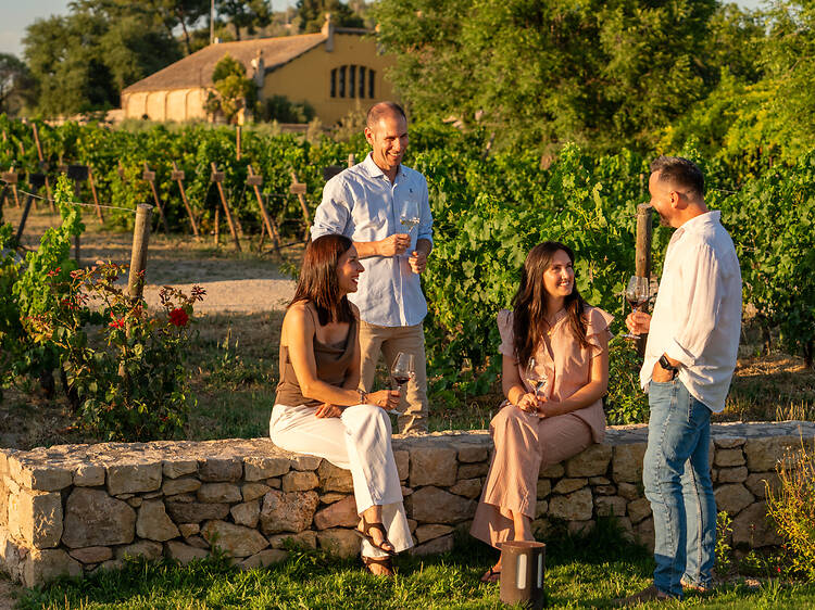 Entre vinyes i gastronomia amb Família Torres Entre vinyes i gastronomia amb Família Torres
