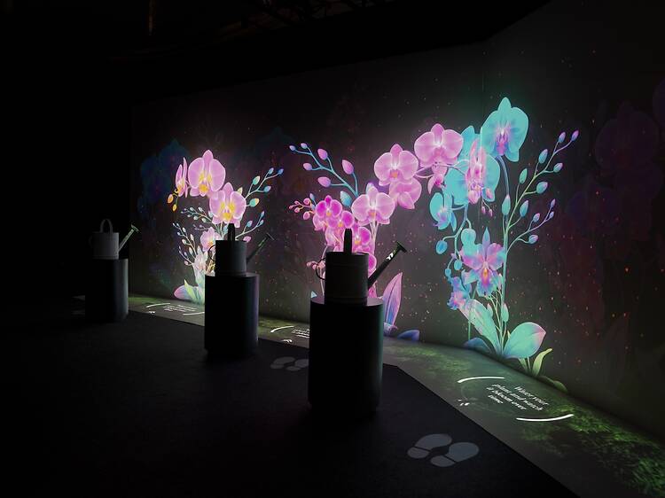 Uncover the story behind Singapore’s reserves in this new immersive experience Uncover the story behind Singapore’s reserves in this new immersive experience