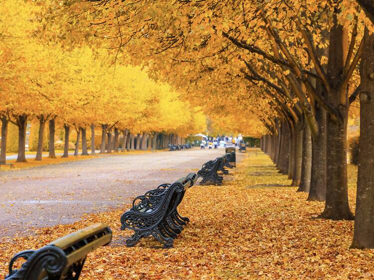 Things to do in London this week