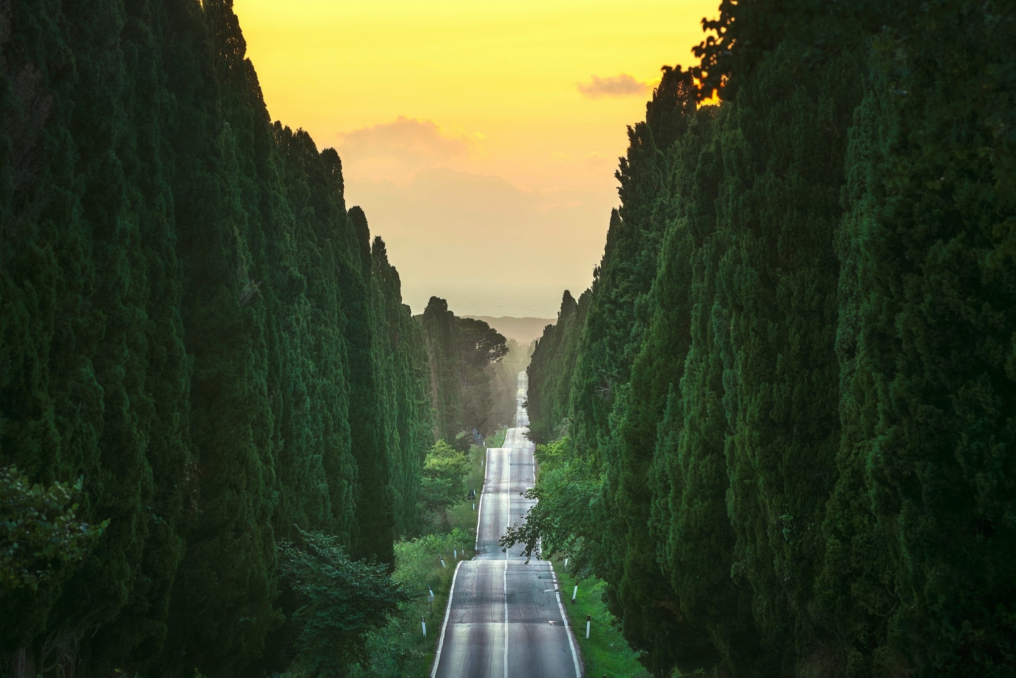 timeout.com - Roisin Teeling - The world's poshest sleeper train has unveiled its Italian journeys for 2027