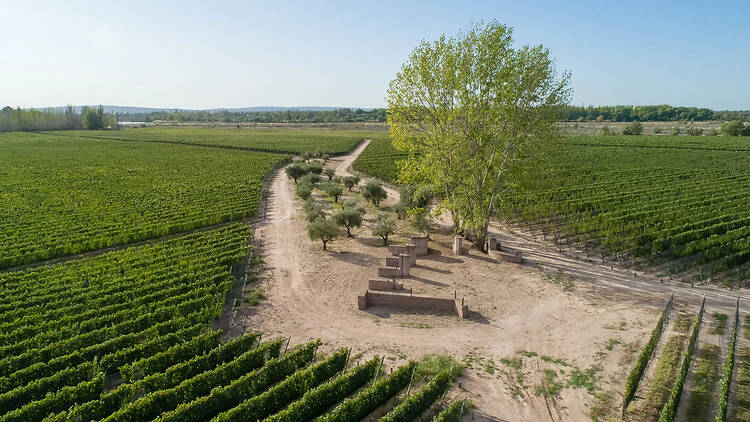 Finca Bandini: Wine, History and the Sound of Water Finca Bandini: Wine, History and the Sound of Water