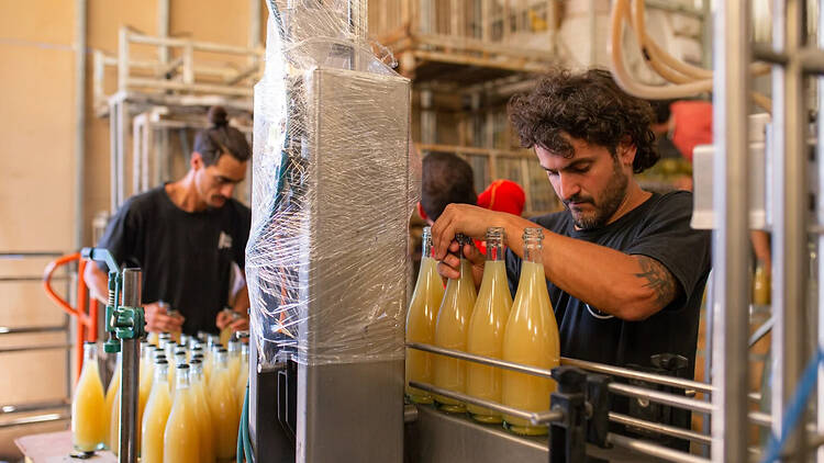 Casa Tano: Making Wine in the Middle of a Neighborhood Casa Tano: Making Wine in the Middle of a Neighborhood