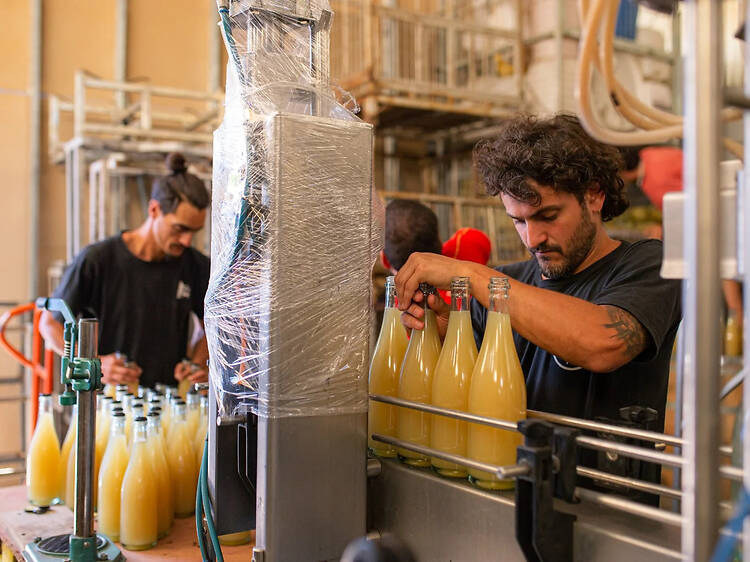 Casa Tano: Making Wine in the Middle of a Neighborhood Casa Tano: Making Wine in the Middle of a Neighborhood