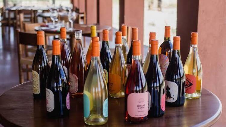 Pielihueso: Unadorned Wines and a Table Among the Vines Pielihueso: Unadorned Wines and a Table Among the Vines