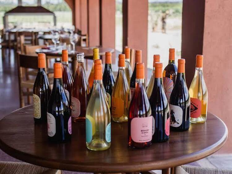 Pielihueso: Unadorned Wines and a Table Among the Vines Pielihueso: Unadorned Wines and a Table Among the Vines