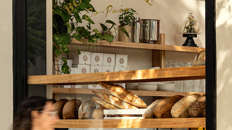 Co-Pain (Colegiales, Parque Centenario and other locations) Co-Pain (Colegiales, Parque Centenario and other locations)