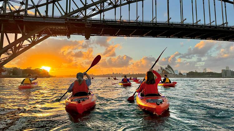 Sydney Kayak Experience