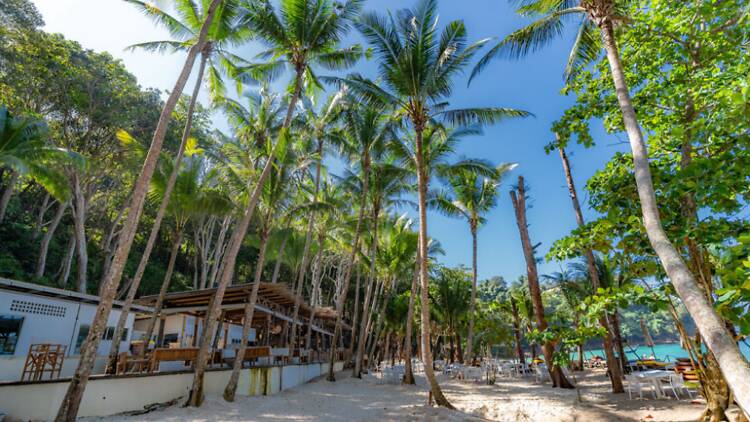 Enjoy a Big Community Sunset at Banana Beach Club Enjoy a Big Community Sunset at Banana Beach Club