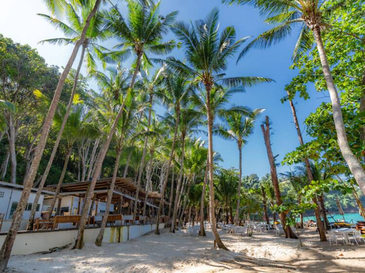 Enjoy a Big Community Sunset at Banana Beach Club Enjoy a Big Community Sunset at Banana Beach Club