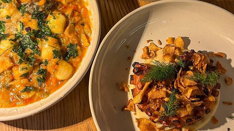 Octopus and gnocchi dishes at From Here By Mike