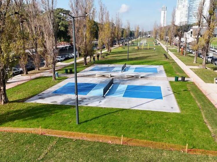 Public Pickleball Courts in Puerto Madero