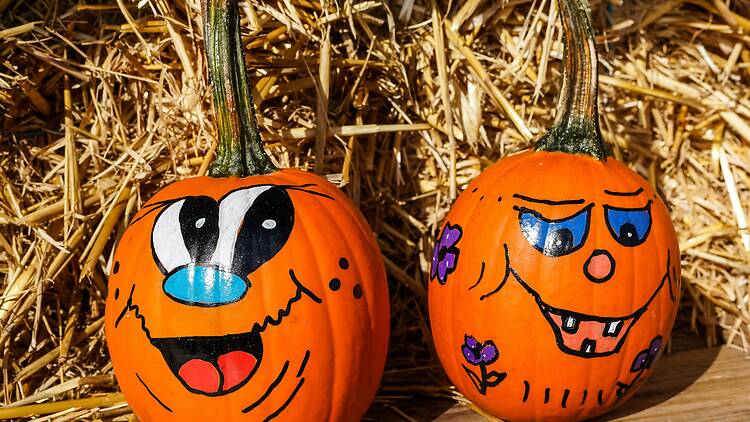 Pinta tu calabaza Pinta tu calabaza