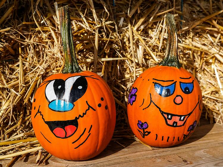 Pinta tu calabaza Pinta tu calabaza