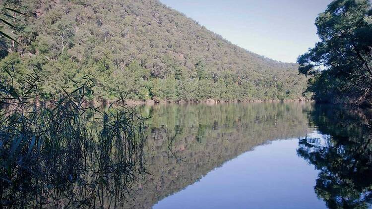 Nepean River Walk