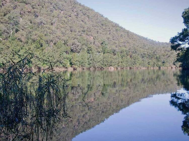 Nepean River Walk