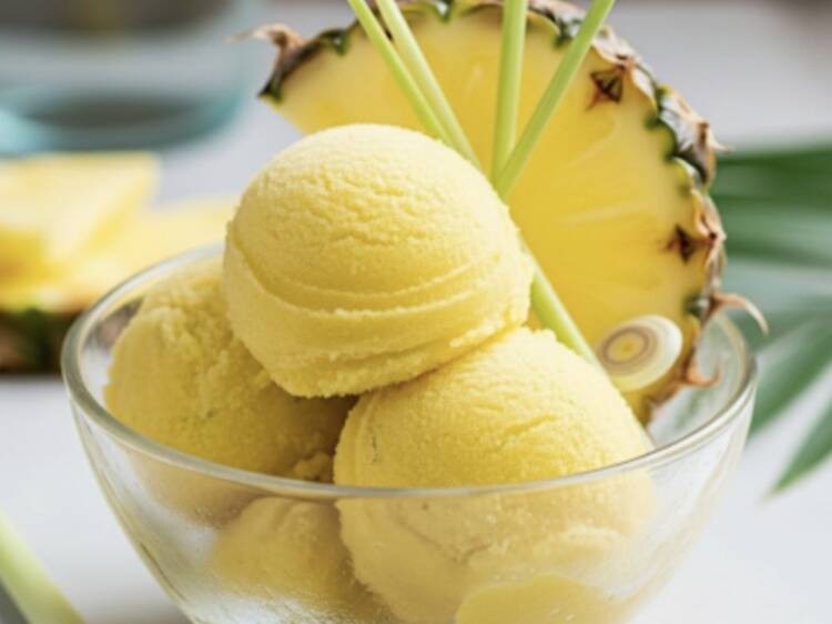 Forest Gelato, 44 Stanley Forest Gelato, 44 Stanley