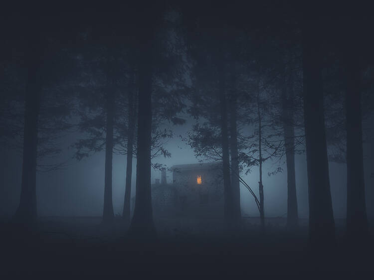 The Haunted House at Irene Village Theatre