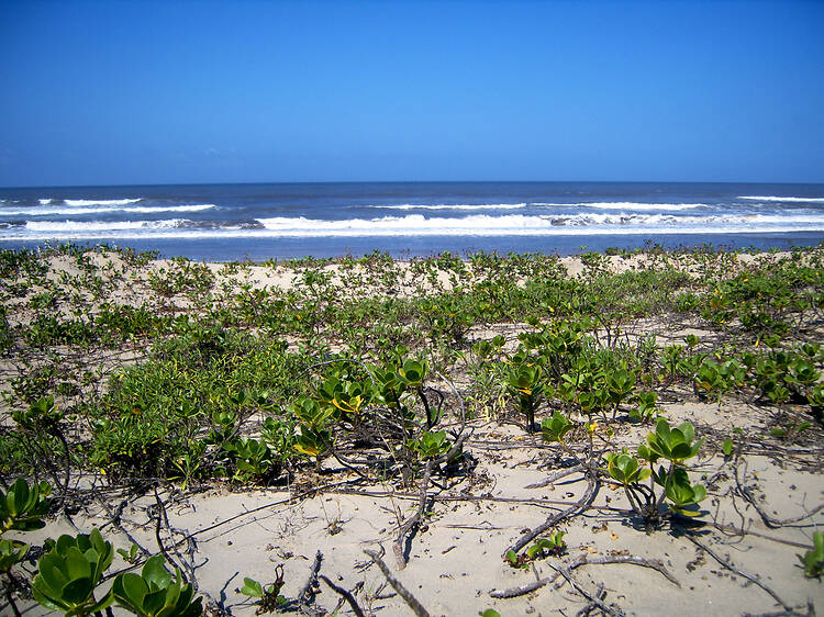 Trafalgar Beach | KZN South Coast