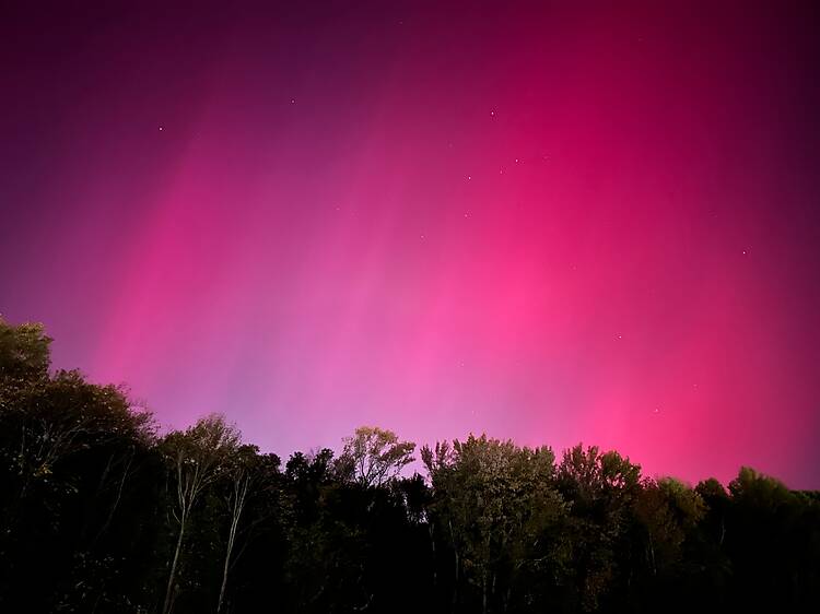 Canada is home to the world’s best place to see rare pink Northern Lights in 2026