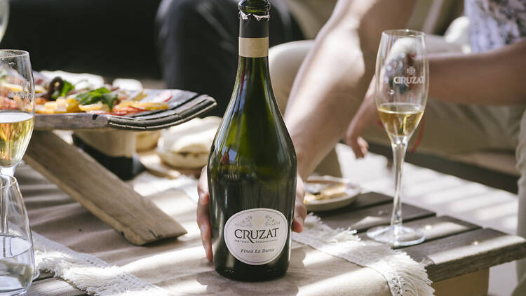 Un brindis especial: los espumantes que vale la pena descorchar