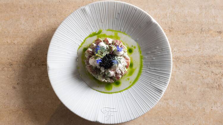Fancy Feast x NEL - The Feline Feast: Elevated Tuna
