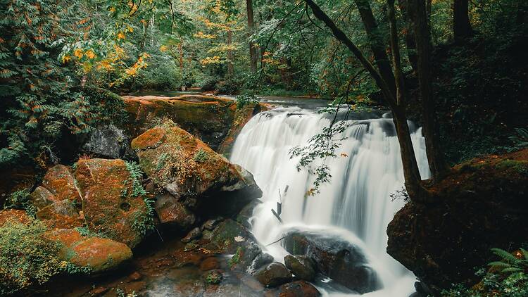 Marvel at Whatcom Falls Marvel at Whatcom Falls