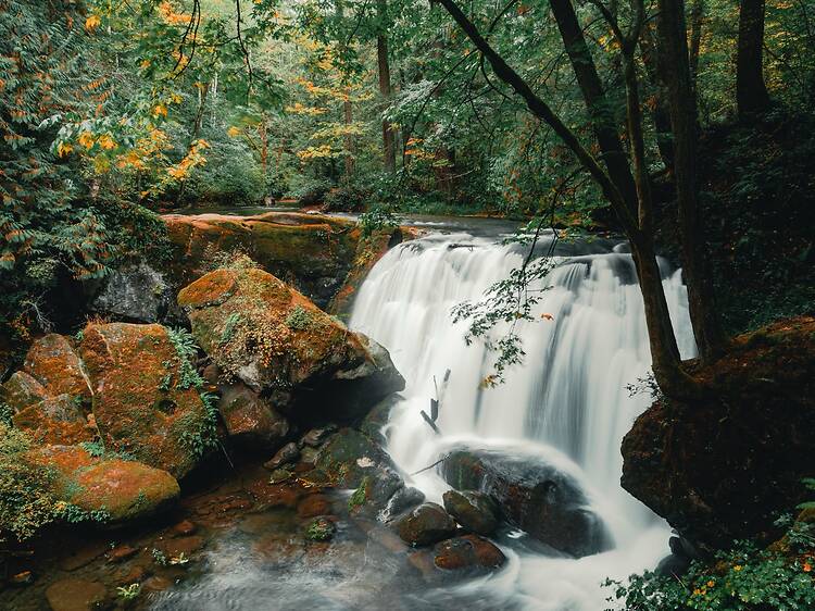 Marvel at Whatcom Falls Marvel at Whatcom Falls