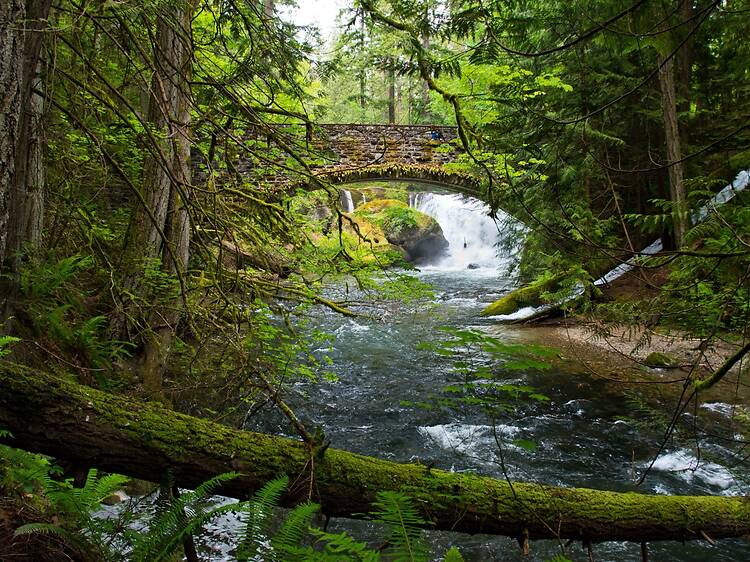 Whatcom Falls Park Whatcom Falls Park