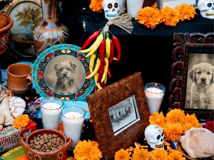Ofrenda para mascotas por Día de Muertos: cuándo se pone