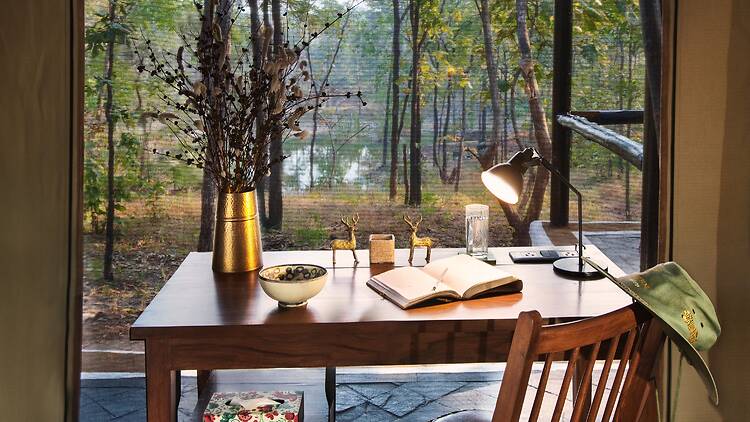 Reni Pani Jungle Lodge, Satpura