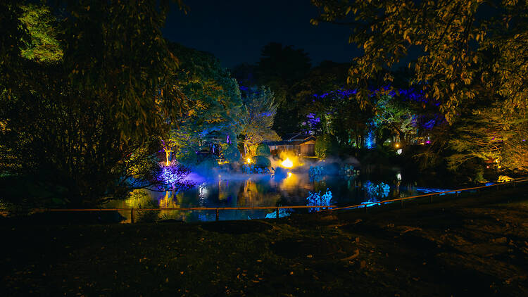 Zen Night Tokyo