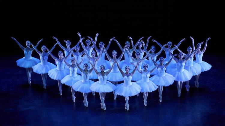 Cape Ballet Africa’s ‘Swan Lake’ comes to the Artscape for limited season Cape Ballet Africa’s ‘Swan Lake’