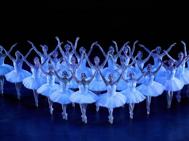 Swan Lake Swan Lake