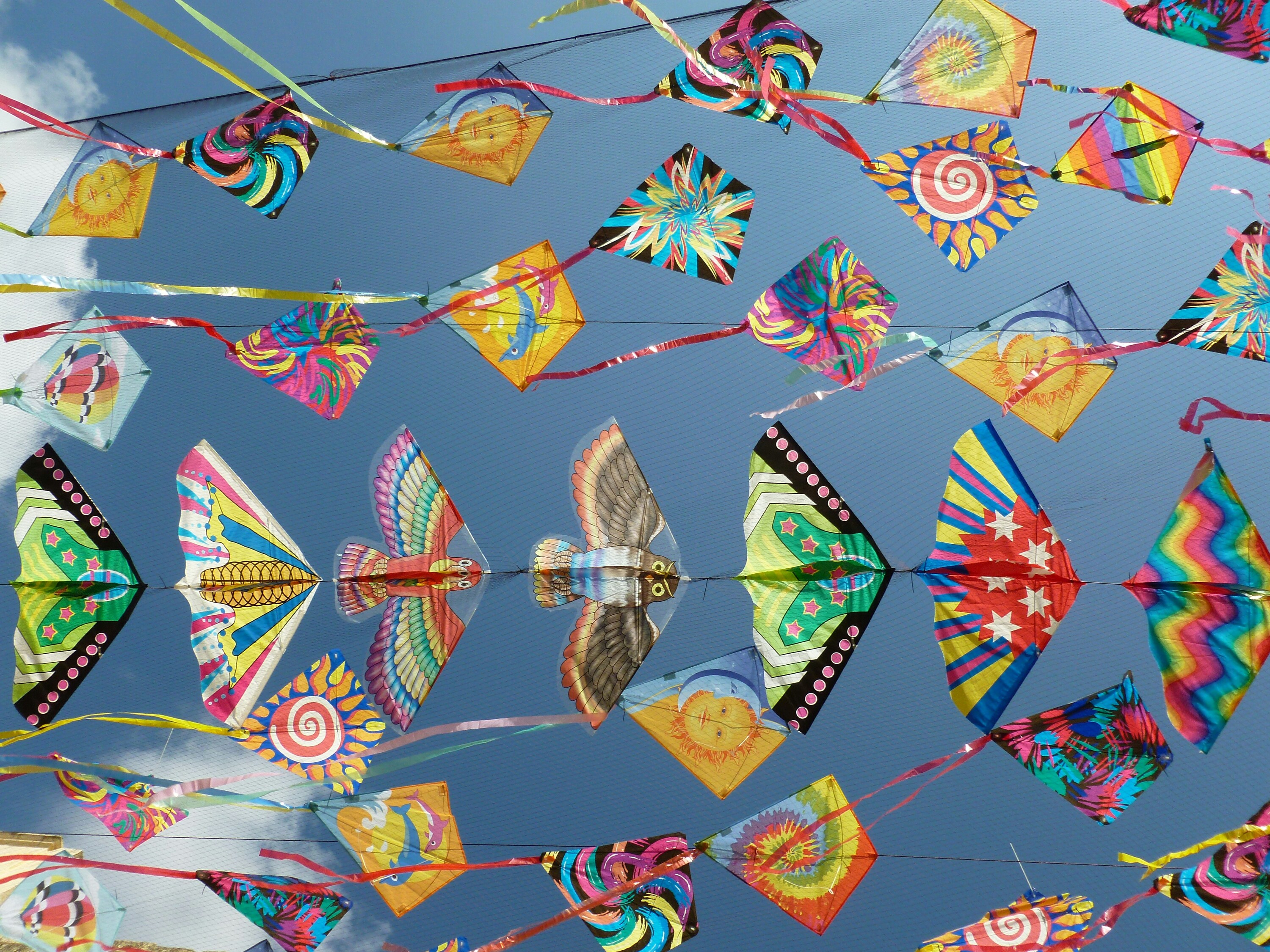 Out and about in Cape Town: Best things to do this weekend