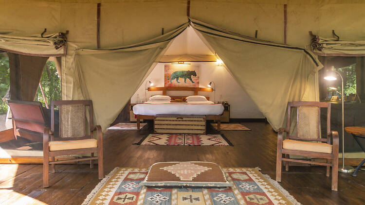 Jamtara Wilderness Camp, Pench National Park, Madhya Pradesh