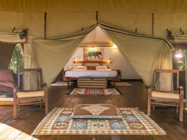 Jamtara Wilderness Camp, Pench National Park, Madhya Pradesh