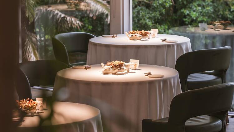 La Colombe - Tasting menu: R2595
