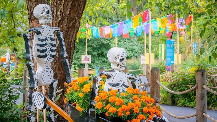 Skeletons at Dia de los Muertos at NYBG Skeletons at Dia de los Muertos at NYBG