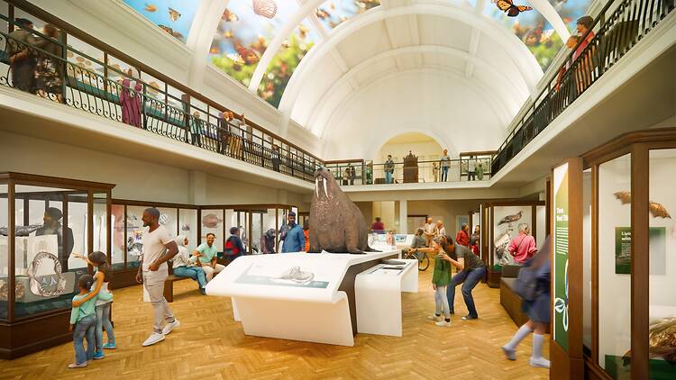 Visualisation of new Nature Gallery at London’s Horniman Museum Visualisation of new Nature Gallery at London’s Horniman Museum