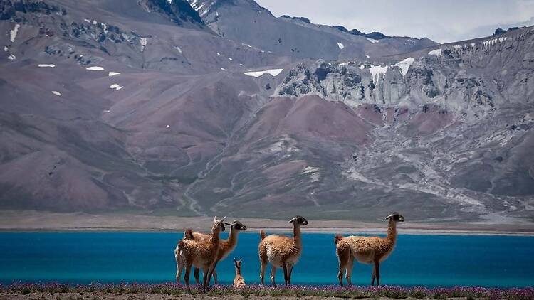 3. Reserva Natural Laguna del Diamante