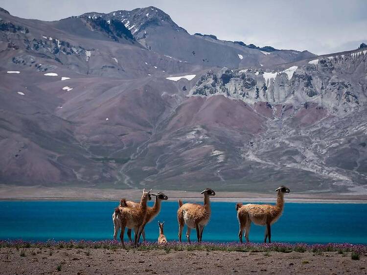 3. Reserva Natural Laguna del Diamante
