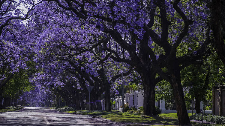 Prospect Street, Brooks Street and Anderson Street