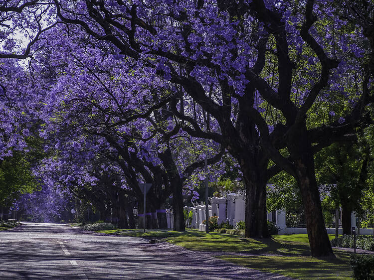 Prospect Street, Brooks Street and Anderson Street