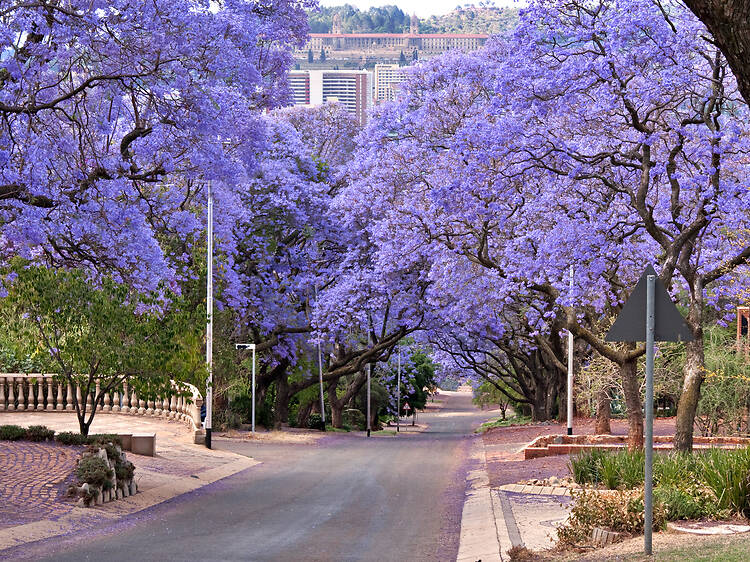 Government Avenue and Eastwood Street