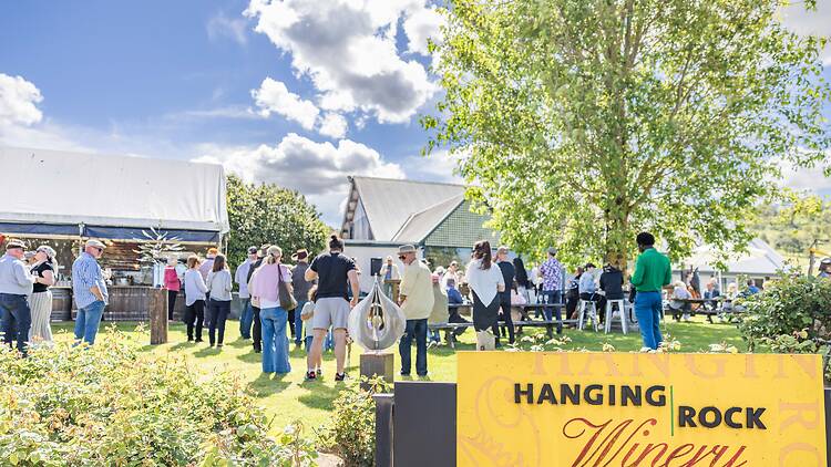 Art in the Vines at Hanging Rock Winery people attending Art in the Vines at Hanging Rock Winery
