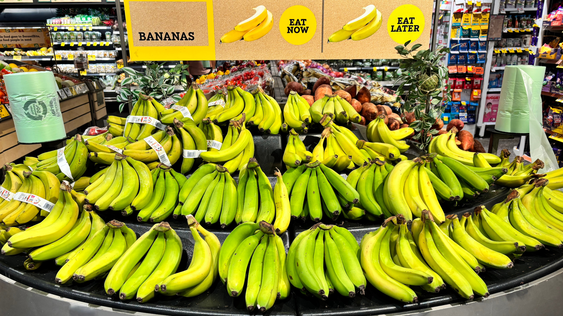 Why is there a banana shortage in Australia? Here’s what you need to know