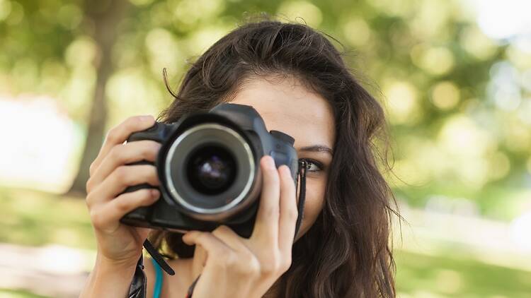 Take a Jacaranda Photo Walk