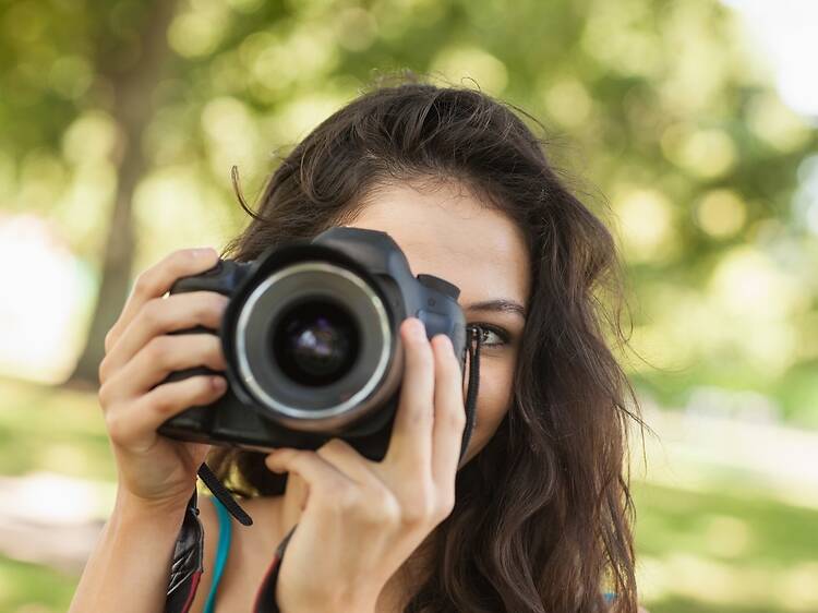 Take a Jacaranda Photo Walk